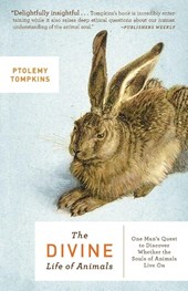 The Divine Life of Animals