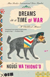 Dreams in a Time of War