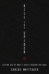 Kill the Spider