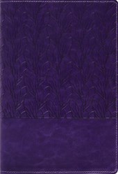 Amplified Holy Bible, Large Print, Leathersoft, Purple