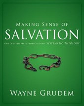 Making Sense of Salvation