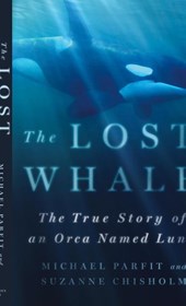Lost Whale