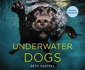 Casteel, S: Underwater Dogs