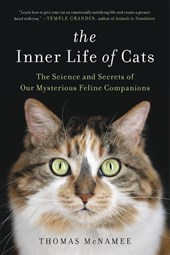 The Inner Life of Cats