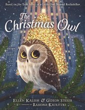 The Christmas Owl