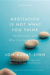 MEDITATION IS NOT WHAT YOU THI