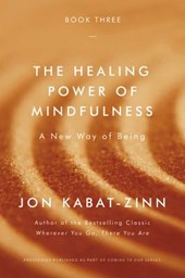 Healing Power of Mindfulness