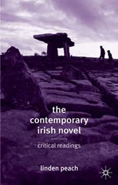 The Contemporary Irish Novel