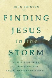 Finding Jesus in the Storm
