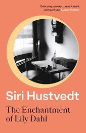 The Enchantment of Lily Dahl