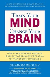 Train Your Mind, Change Your Brain