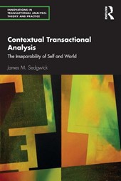 Contextual Transactional Analysis