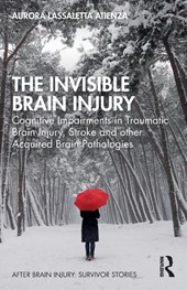 The Invisible Brain Injury