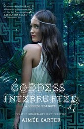 GODDESS INTERRUPTED
