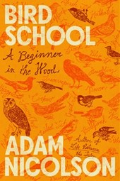 Bird School: A Beginner in the Wood