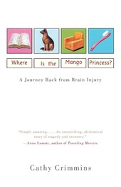 Where Is the Mango Princess?