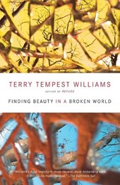 Finding Beauty in a Broken World