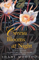 Cereus Blooms at Night