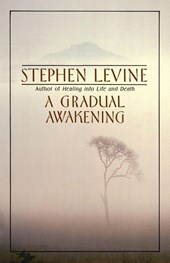 A Gradual Awakening