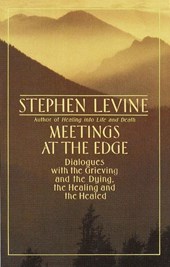 Levine, S: Meetings at the Edge
