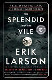 The Splendid and the Vile