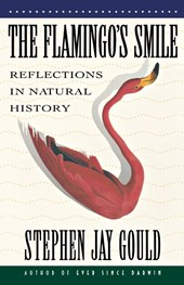 The Flamingo's Smile