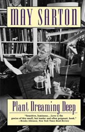 Plant Dreaming Deep