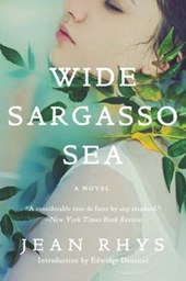 Wide Sargasso Sea