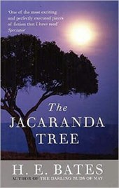 The Jacaranda Tree