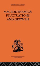 Macrodynamics: Fluctuations and Growth