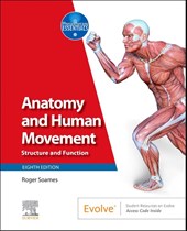 Anatomy and Human Movement