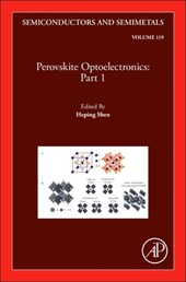 Perovskite Optoelectronics