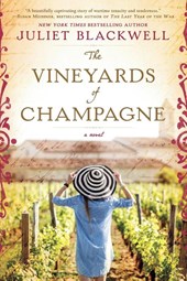 The Vineyards of Champagne