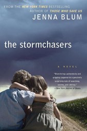 The Stormchasers