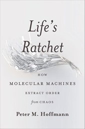 Life's Ratchet