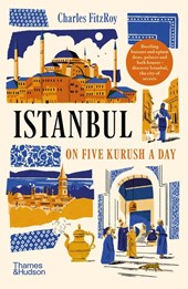 Istanbul on Five Kurush a Day