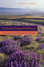 California’s Fading Wildflowers