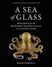 A Sea of Glass