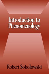 Introduction to Phenomenology