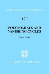 Polynomials and Vanishing Cycles