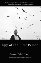 Spy Of The First Person