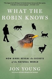 What the Robin Knows