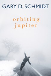 Schmidt, G: Orbiting Jupiter