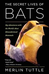 The Secret Lives Of Bats