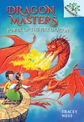POWER OF THE FIRE DRAGON A BRA