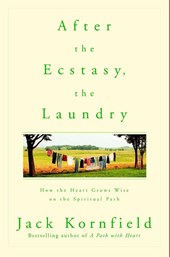 After the Ecstasy, the Laundry