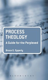 Process Theology: A Guide for the Perplexed