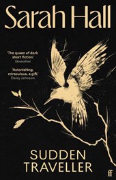 Sudden Traveller