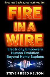 Fire in a Wire
