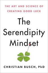 SERENDIPITY MINDSET